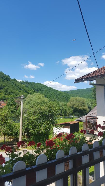 Apartment Sajra Kulen Vakuf Bagian luar foto