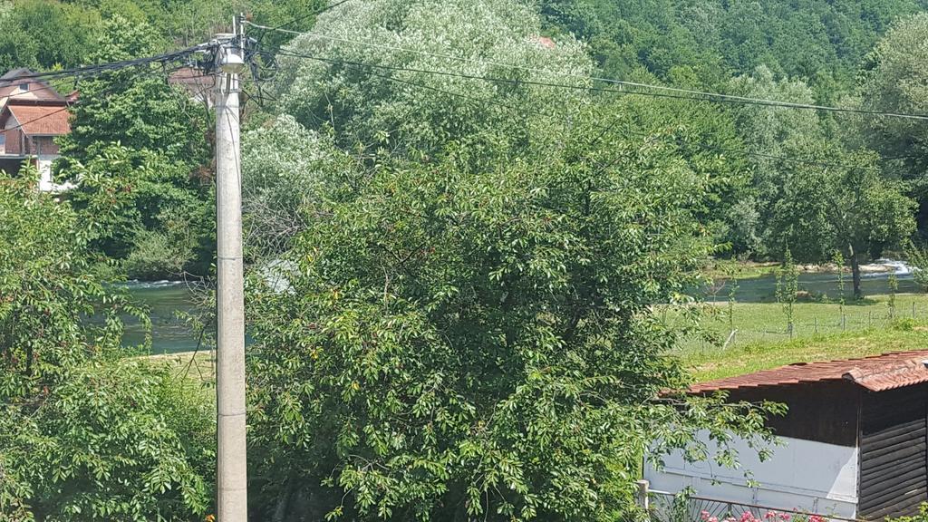 Apartment Sajra Kulen Vakuf Bagian luar foto